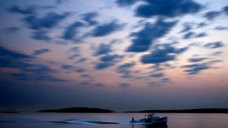 Maine's Lobster Catch Declines Again