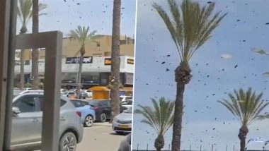 Israel Bee Swarm Video: Thousands of Bees Take Over Streets in Netivot, Residents Urged Stay Indoors