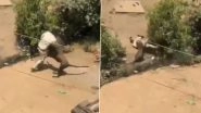 Dhar Leopard Attack: Big Cat Enters Village, Pounces on Forest Guard and Injures 4 Others; Search Underway (Watch Video)