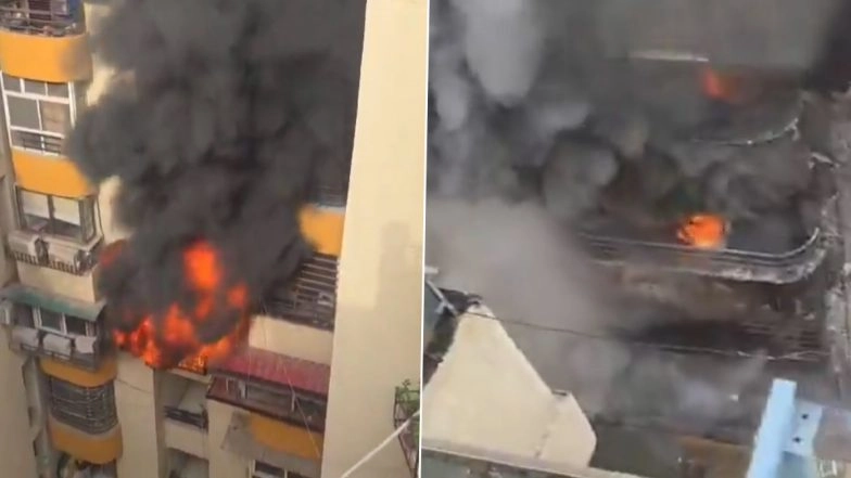 Ghaziabad Building Fire: Massive Blaze at Gaur Green Avenue iN Indirapuram  Guts 8 Flats, No Fatalities; Residents Evacuated (Watch Videos)
