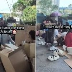 Hong Kong Domestic Workers Day Off Trends Online As Viral Video Shows Labourers Living Out of Cardboard Boxes in Public Spaces