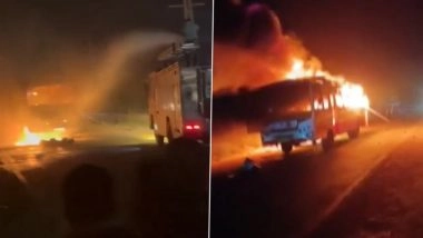 Haryana Bus Tragedy: 2 Dead and 6 Injured After Private Bus Catches Fire Near Hansi; Tyre Burst Suspected (Watch Video)