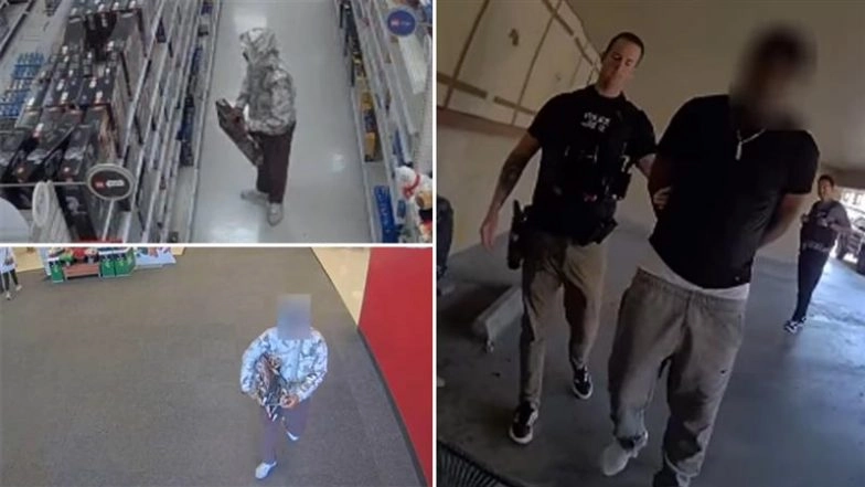 LEGO Theft Scam in US: Man Arrested for Swapping Toy Sets with Pasta, Losses Reach USD 34,000