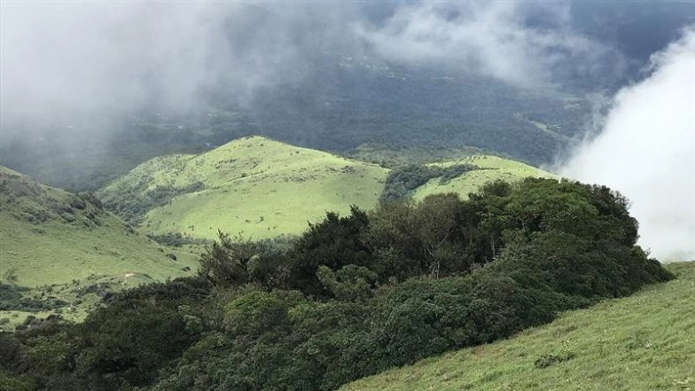 Woman Missing for 4 Days After Trek in Tadiandamol Hills, Drones Deployed