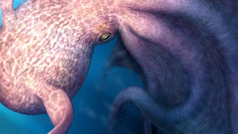 Real-Life Kraken: Bus-Sized Ancient Octopus Hunted Marine Giants, New Study Confirms