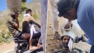 Rajasthan Man Gets Milk Can Stuck on Head While Trying To Beat Heat, Video Goes Viral