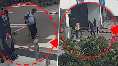 Delhi Airport Dog Attacks: DIAL Issues Advisory After Rise in Stray Dog Incidents, Urges Passengers To Avoid Feeding Animals