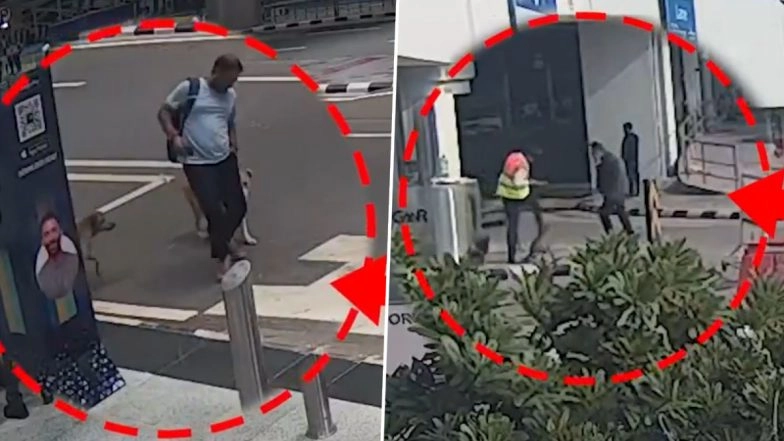 Delhi Airport Dog Attacks: DIAL Issues Advisory After Rise in Stray Dog Incidents, Urges Passengers To Avoid Feeding Animals