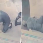 Sudden Death Caught on Camera: Man Collapses in Gym During Workout, Dies of Heart Attack in Srinagar; Video Goes Viral