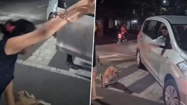 Dog Attack Viral Video: Stray Dog Runs in Front of Cab, Woman Bitten During Argument With Driver