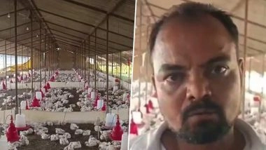 DJ Wedding Noise Kills 140 Chickens in UP&rsquo;s Sultanpur, Poultry Owner Blames &lsquo;Deafening Music&rsquo;
