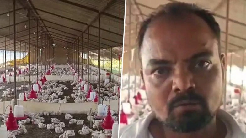DJ Wedding Noise Kills 140 Chickens in UP&rsquo;s Sultanpur, Poultry Owner Blames &lsquo;Deafening Music&rsquo;