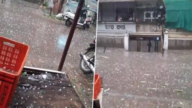 Delhi Weather Update: Sudden Rain, Hailstorm Bring Relief Across NCR, IMD Issues Alerts (Watch Videos)