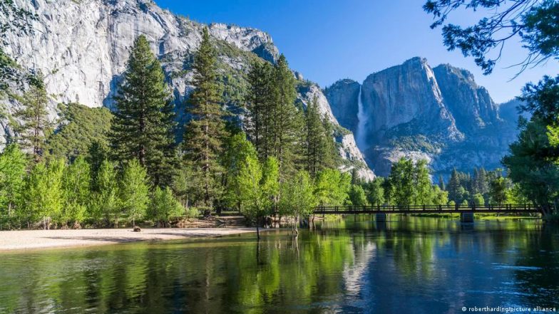 'Drill Baby Drill': Trump Opens Wilderness to Big Energy