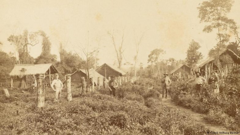 Nueva Germania: The Failed 'Aryan Project' in Paraguay