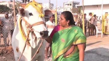 India News | A Bond Beyond Words: Srilakshmi's Extraordinary Love for Her Bulls