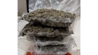 India News | Man Arrested for Carrying 1.107 Kg Hydroponic Marijuana at Ahmedabad Airport