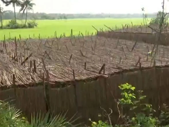India News | West Bengal: Singur Farmers Open to Industry, but Draw Line at Fertile Land Ahead Assembly Elections