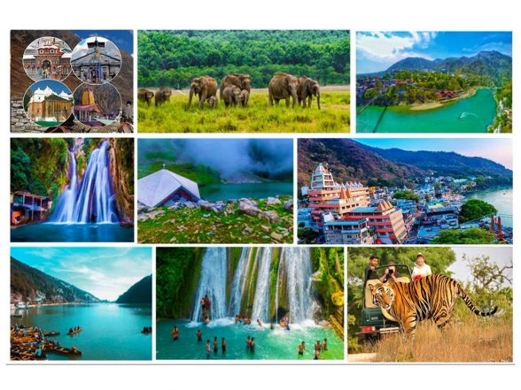 Business News | Nitisetu Consultancy Emerges as a Leading Political Consultancy in Dehradun, Driving Data Backed Election Success