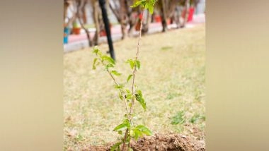 India News | Ladakh Administration Takes Initiative to Plant Bamboo, Flowering Trees in Leh