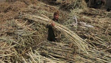 World News | Pakistan's Sugar Glut Exposes Policy Gaps Amid Economic Strain