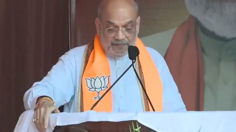 India News |  Amit Shah Condoles Loss of Lives in Vrindavan Boat Accident, Prays for Speedy Recovery of Injured