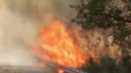 India News | Delhi: Fire in Bushes Near Rajghat Bus Depot, No Casualties Reported
