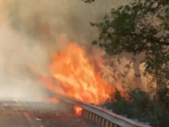 India News | Delhi: Fire in Bushes Near Rajghat Bus Depot, No Casualties Reported