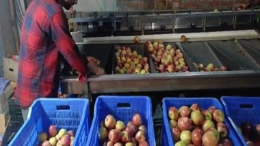 Business News | FSSAI Orders Strict Vigilance Against Illegal Fruit Ripening Agents Across States