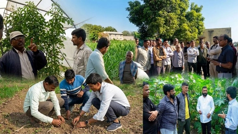 Business News | 25,000+ Farmers, 84,000+ Farming Interventions: How GNFC is Shaping the Future of Agriculture in Gujarat