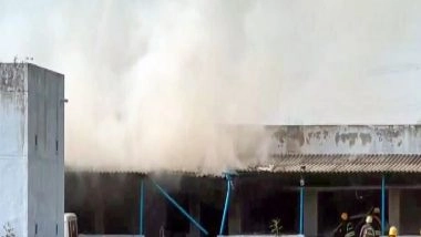 India News | Rahul Gandhi Expresses Grief over Loss of Lives in Virudhunagar Firecracker Unit Explosion