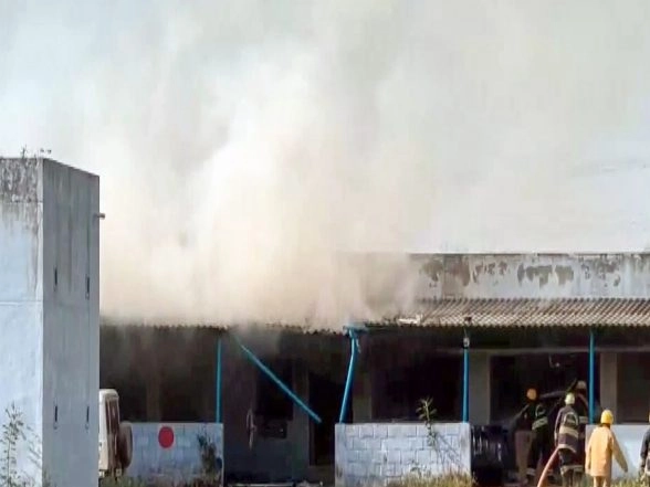 India News | Rahul Gandhi Expresses Grief over Loss of Lives in Virudhunagar Firecracker Unit Explosion