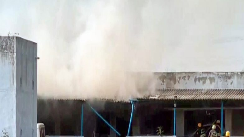 India News | Rahul Gandhi Expresses Grief over Loss of Lives in Virudhunagar Firecracker Unit Explosion