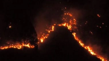 India News | Forest Fires Break out at Two Locations in Nainital's Gethiya Area