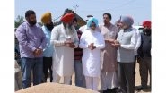 India News | MP Satnam Sandhu Takes Stock of Wheat Procurement at Dera Bassi, Samrala Mandis; Pace Picks Up After Centre's Relaxation on Norms