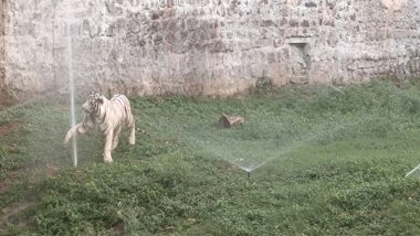 India News | MP: Special Arrangements Made at Gwalior Zoo to Protect Wildlife from Rising Heat