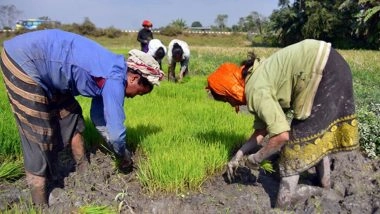 Business News | Govt Expands MSP Procurement in Chhattisgarh; Launches First Structured Pulse Procurement in Bihar