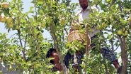 India News | Himachal Forest Department Aims to Undertake Plantations on 4,000 Hectares by Engaging Community Groups