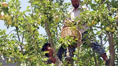 India News | Himachal Forest Department Aims to Undertake Plantations on 4,000 Hectares by Engaging Community Groups