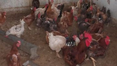 India News | J-K: Udhampur Poultry Farms Take Preventive Steps Amid Heatwave