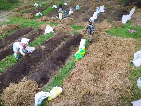 India News | India's Farming Moves Beyond Tradition to Smart Agriculture