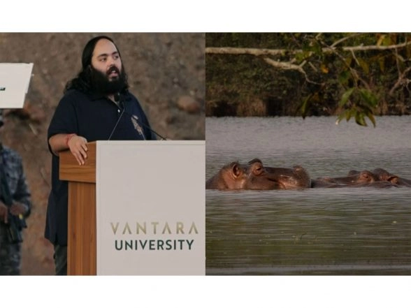 Entertainment News | Anant Ambani Urges Colombia to Stay Lethal Removal of 80 Hippos, Offers Permanent Home at Vantara