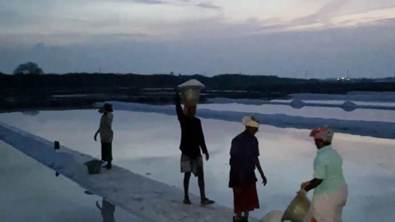 India News | Tamil Nadu: Salt Pan Workers Begin Shift at 1 AM to Escape Severe Heat in Thoothukudi