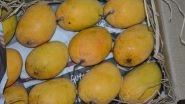 Alphonso Mango Prices Drop in Mumbai As Vashi APMC Receives 70,000 Boxes Daily