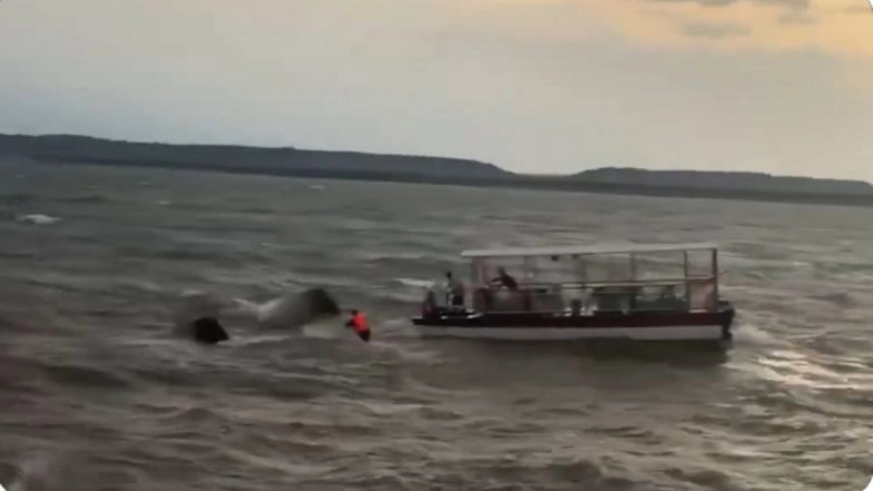 Jabalpur Bargi Dam Tragedy: 5 Dead, Over 10 Missing As Tourist Cruise Capsizes During Sudden Storm in Madhya Pradesh (Watch Videos)