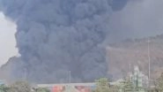 Navi Mumbai Fire: Massive Blaze Engulfs Cargo Warehouse at Gavhan Phata Near JNPA, No Casualties Reported (Watch Video)