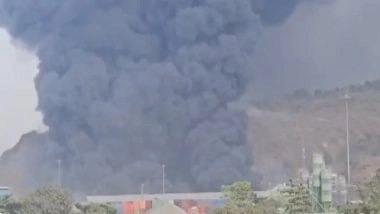 Navi Mumbai Fire: Massive Blaze Engulfs Cargo Warehouse at Gavhan Phata Near JNPA, No Casualties Reported (Watch Video)