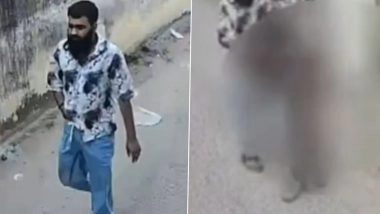 Jaipur Harassment Case: CCTV Shows Man Molesting Pregnant Woman in Malviya Nagar; Police Begin Investigation
