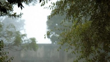 Tamil Nadu Weather Forecast and Rain Prediction: IMD Forecasts Moderate to Heavy Rains for Nilgiris, Coimbatore, and Western Ghats Districts