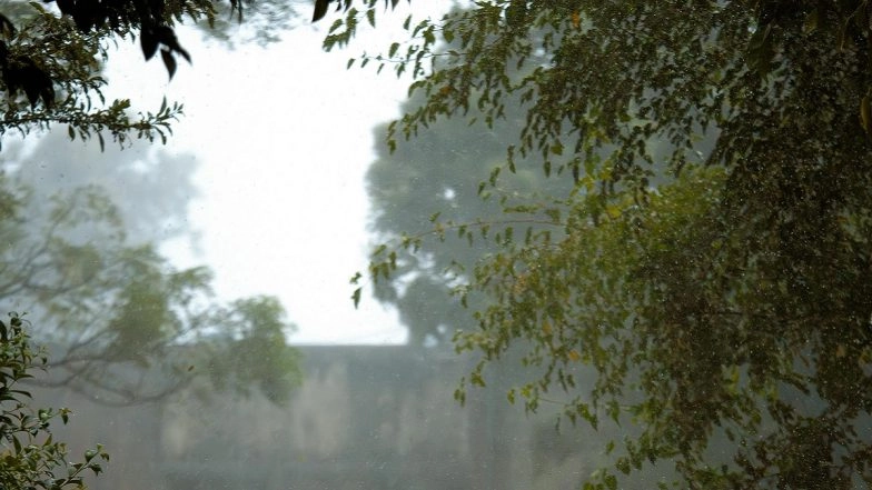 IMD Forecasts Moderate to Heavy Rain for Nilgiris, Coimbatore and Western Ghats Districts of Tamil Nadu